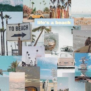 Meet your Posher, Matty 🌺